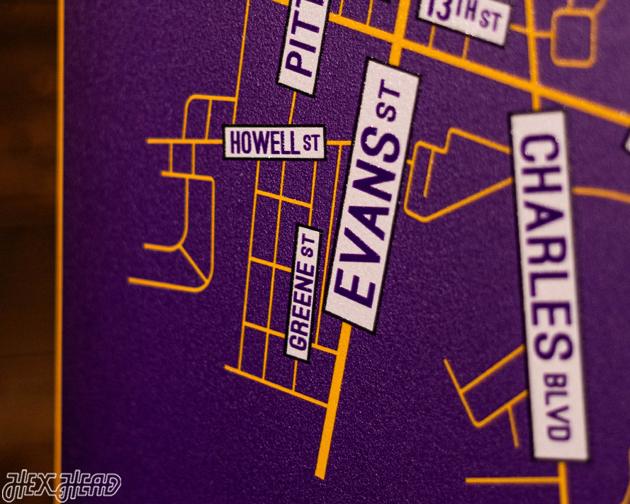 Greenville, North Carolina School Street Poster Single Layer Metal Wall Art