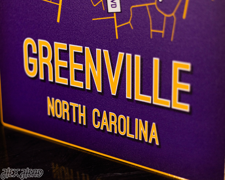 Greenville, North Carolina School Street Poster Single Layer Metal Wall Art