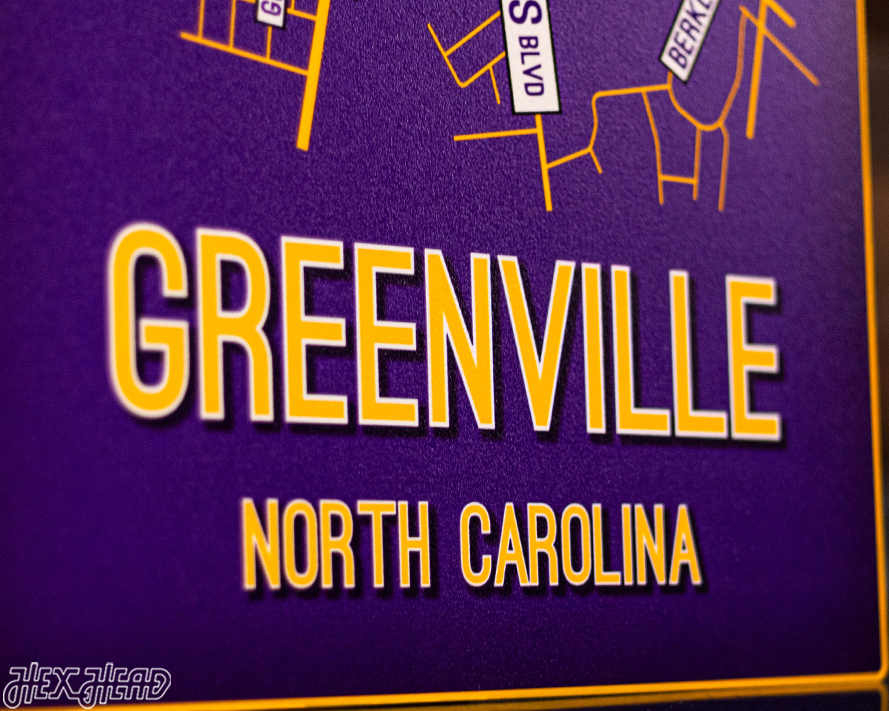 Greenville, North Carolina School Street Poster Single Layer Metal Wall Art