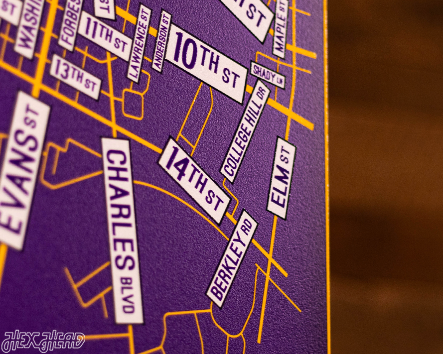 Greenville, North Carolina School Street Poster Single Layer Metal Wall Art