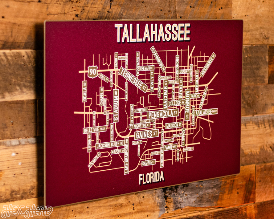 Tallahassee, Florida School Street Poster Single Layer Metal Wall Art