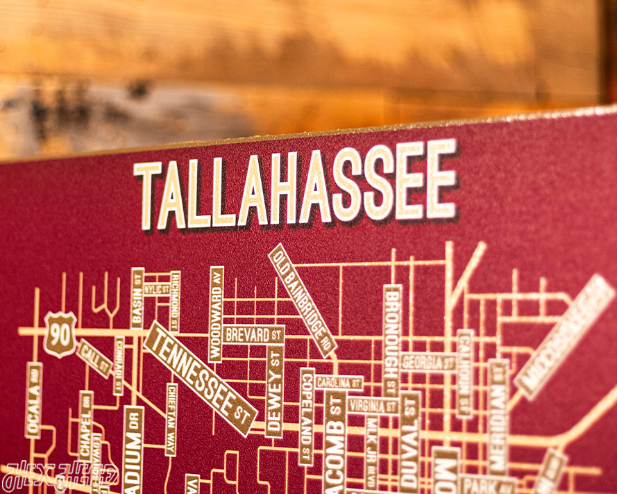 Tallahassee, Florida School Street Poster Single Layer Metal Wall Art