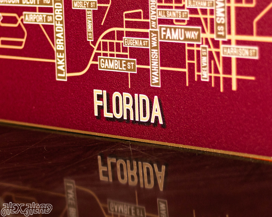 Tallahassee, Florida School Street Poster Single Layer Metal Wall Art