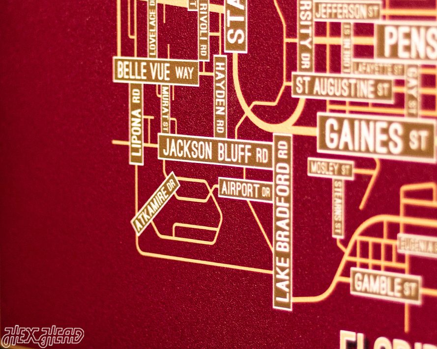 Tallahassee, Florida School Street Poster Single Layer Metal Wall Art