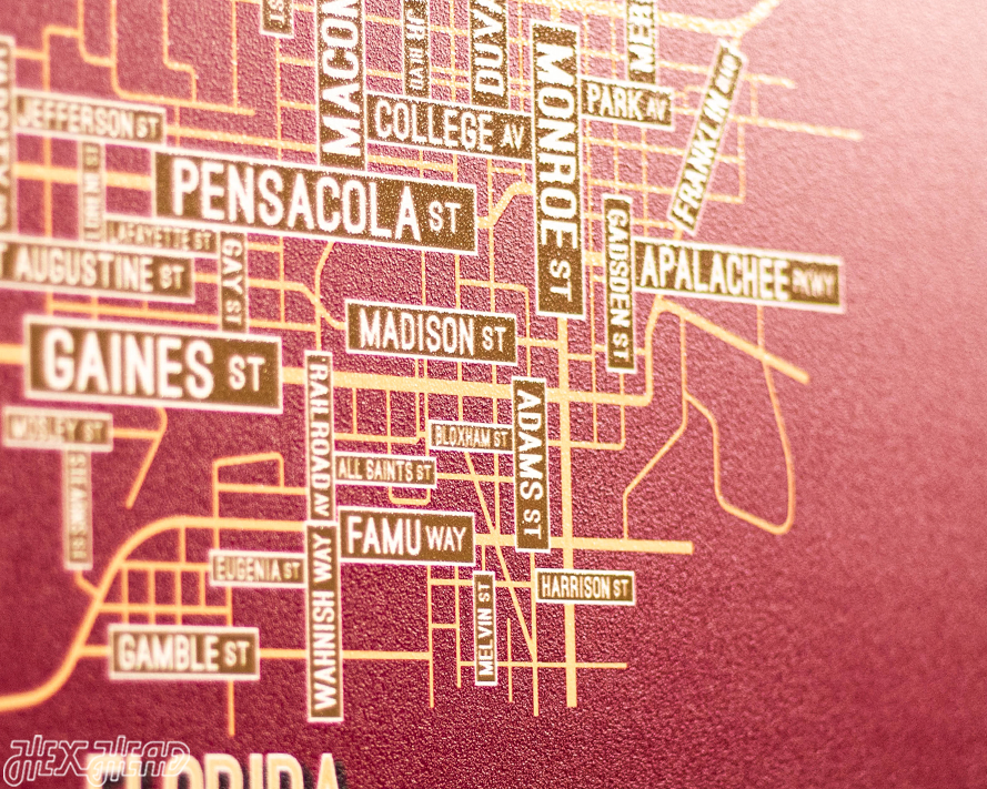 Tallahassee, Florida School Street Poster Single Layer Metal Wall Art