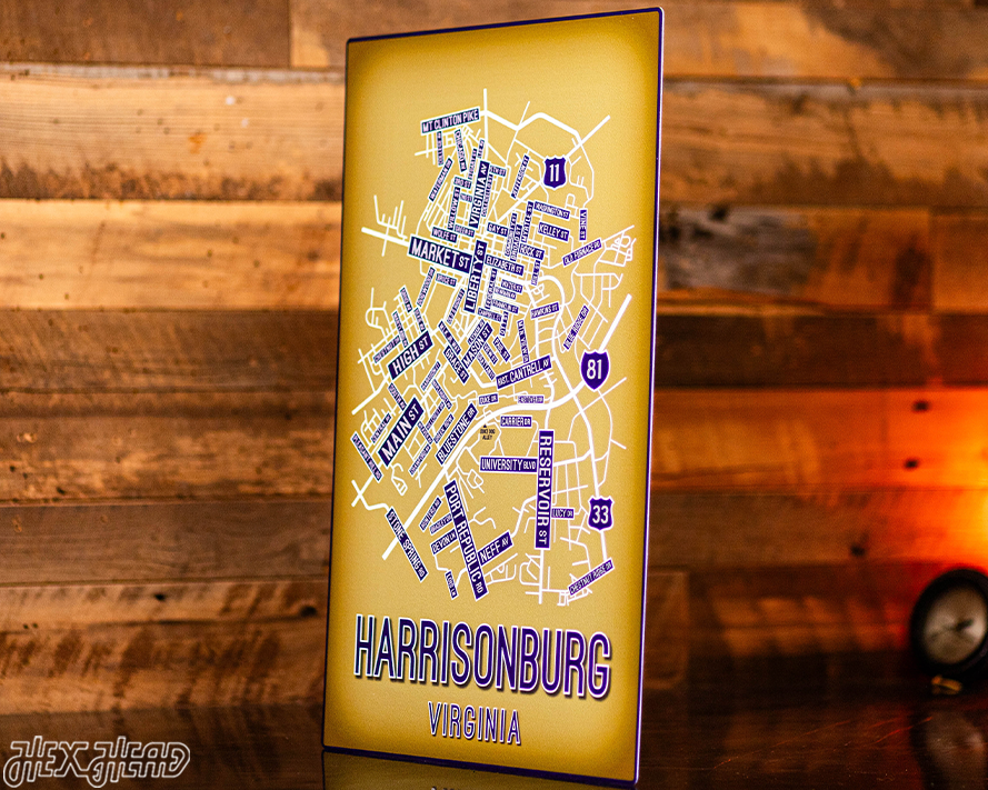Harrisonburg, Virginia School Street Poster Single Layer Metal Wall Art