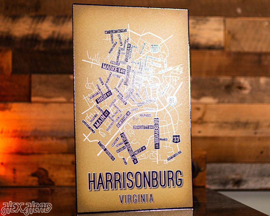 Harrisonburg, Virginia School Street Poster Single Layer Metal Wall Art