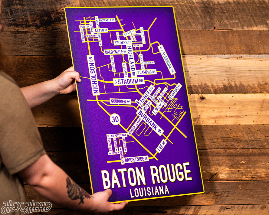 Baton Rouge, Louisiana School Street Poster Single Layer Metal Wall Art