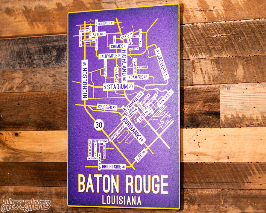 Baton Rouge, Louisiana School Street Poster Single Layer Metal Wall Art