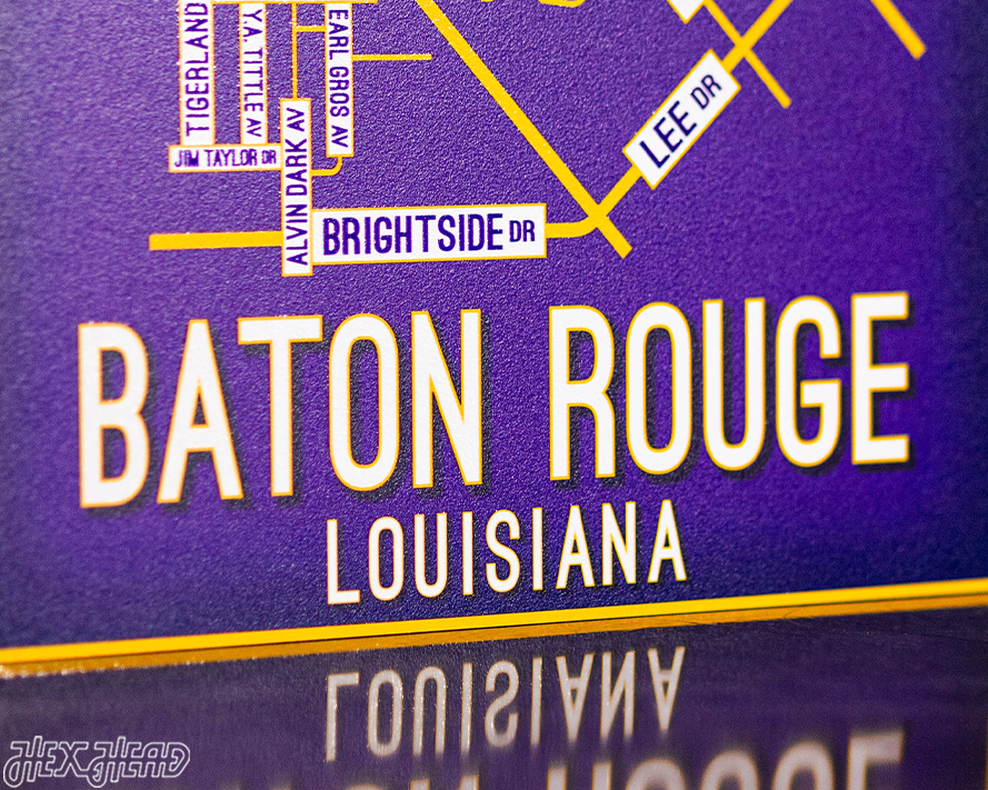 Baton Rouge, Louisiana School Street Poster Single Layer Metal Wall Art