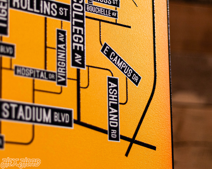 Columbia, Missouri School Street Poster Single Layer Metal Wall Art
