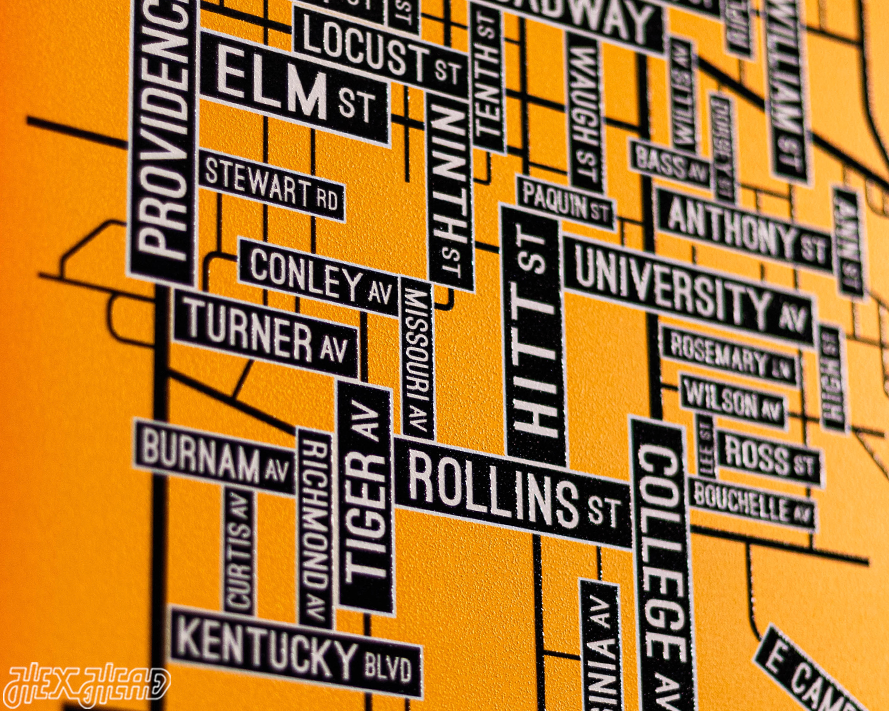 Columbia, Missouri School Street Poster Single Layer Metal Wall Art