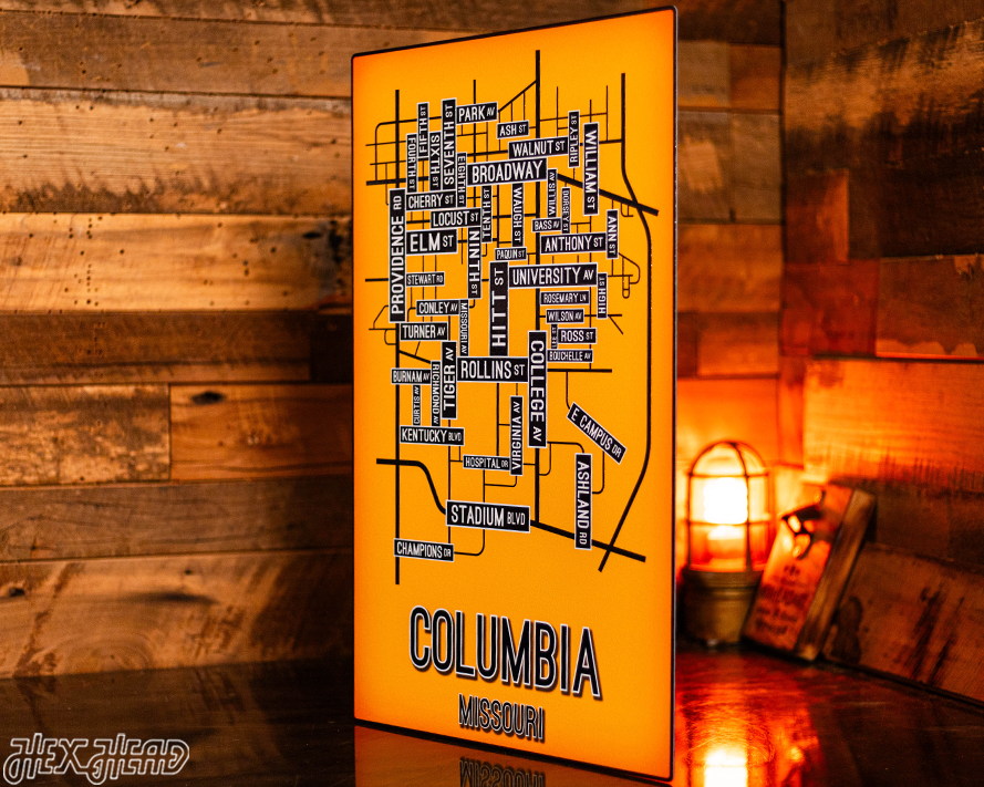 Columbia, Missouri School Street Poster Single Layer Metal Wall Art