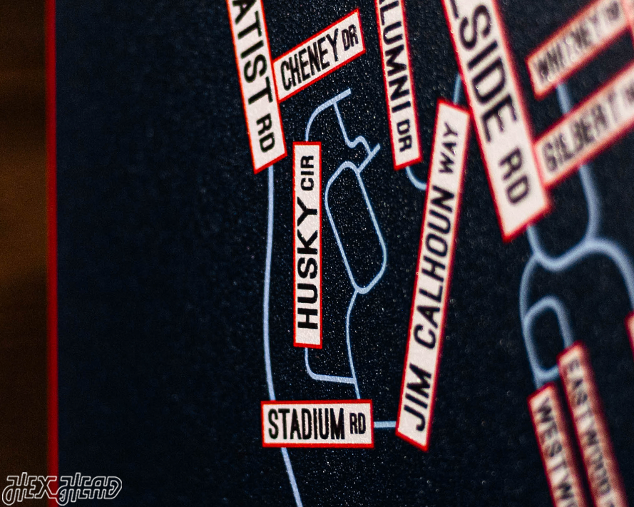 Storrs, Connecticut School Street Poster Single Layer Metal Wall Art