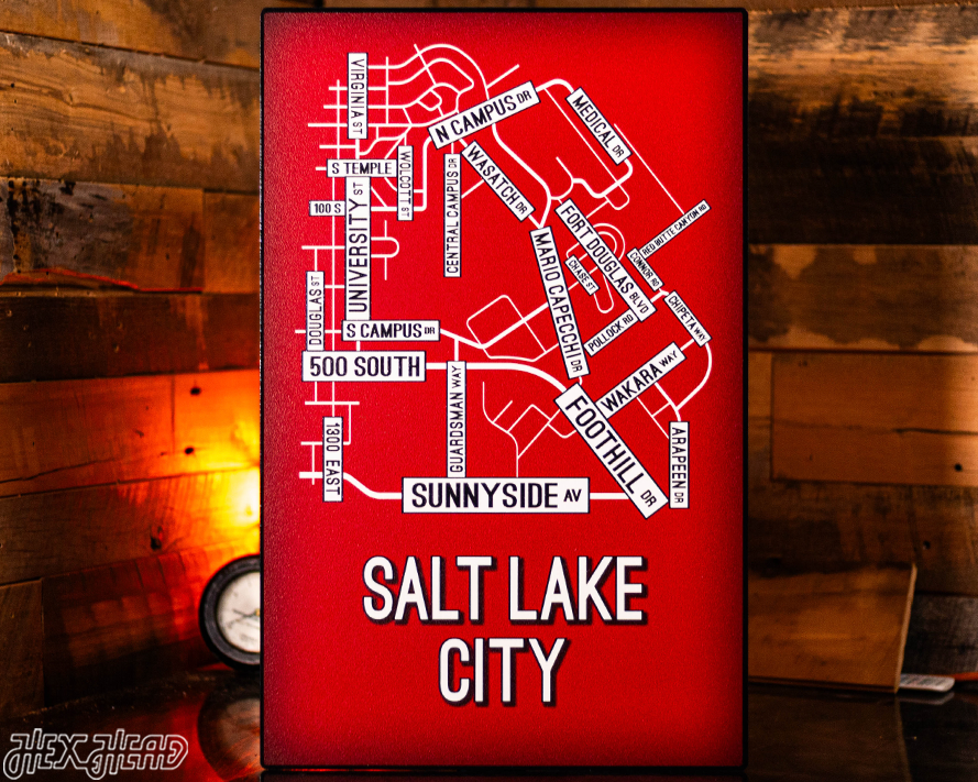 Salt Lake City School Street Poster Single Layer Metal Wall Art