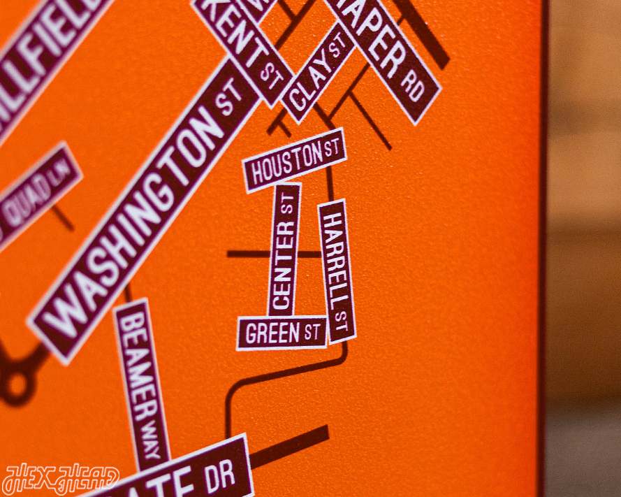 Blacksburg, Virginia School Street Poster Single Layer Metal Wall Art