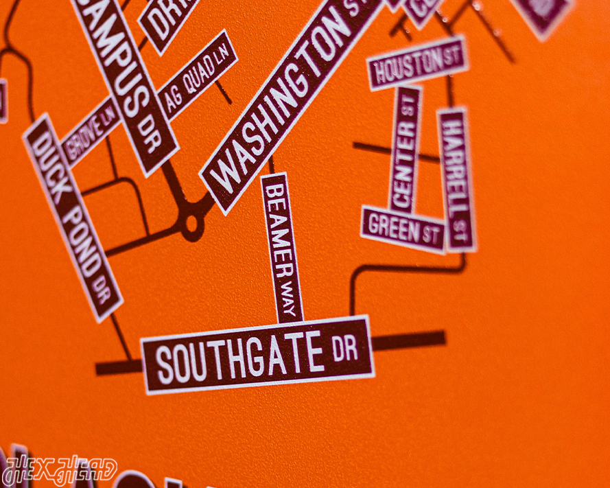 Blacksburg, Virginia School Street Poster Single Layer Metal Wall Art