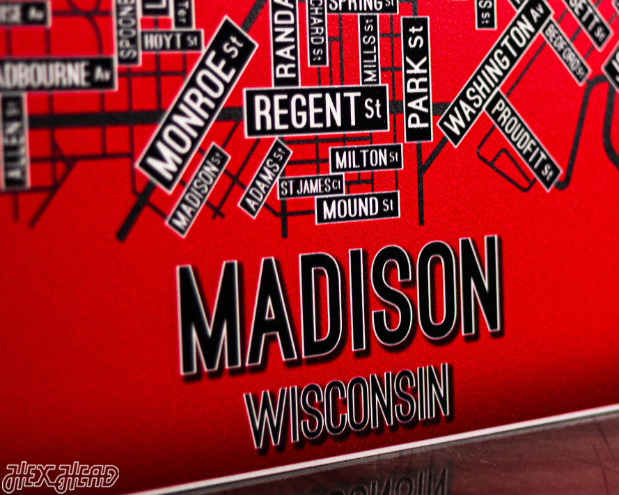 Madison, Wisconsin School Street Poster Single Layer Metal Wall Art
