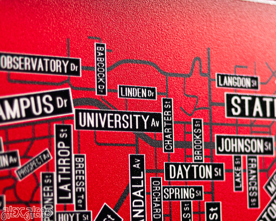 Madison, Wisconsin School Street Poster Single Layer Metal Wall Art