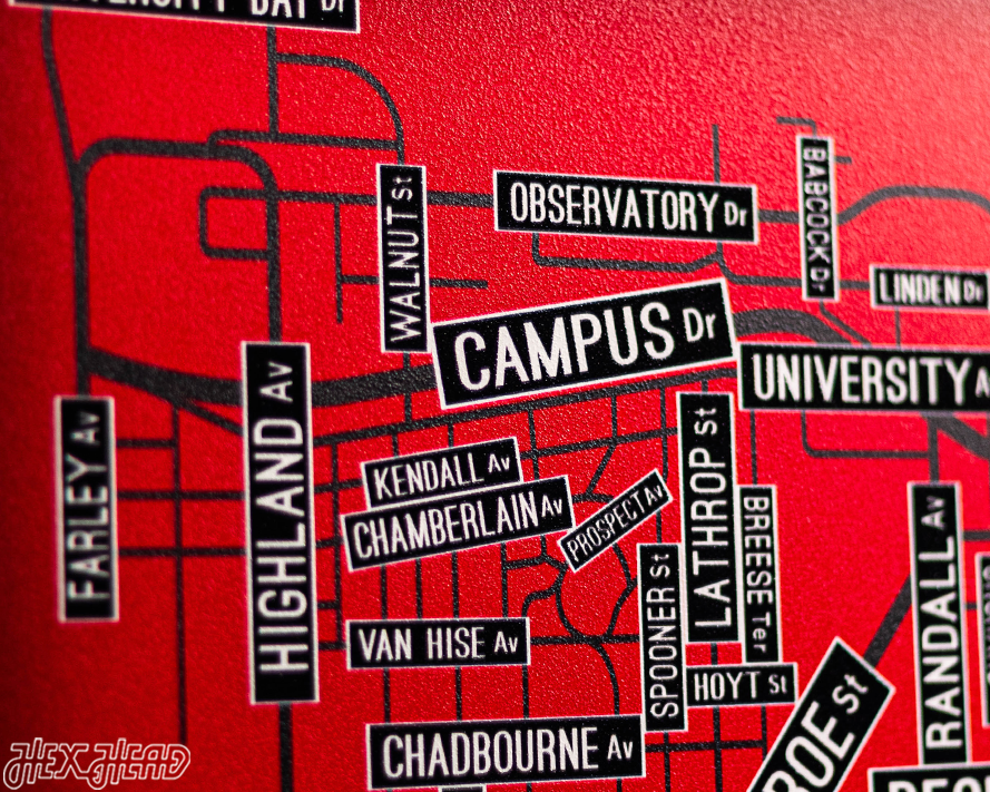 Madison, Wisconsin School Street Poster Single Layer Metal Wall Art