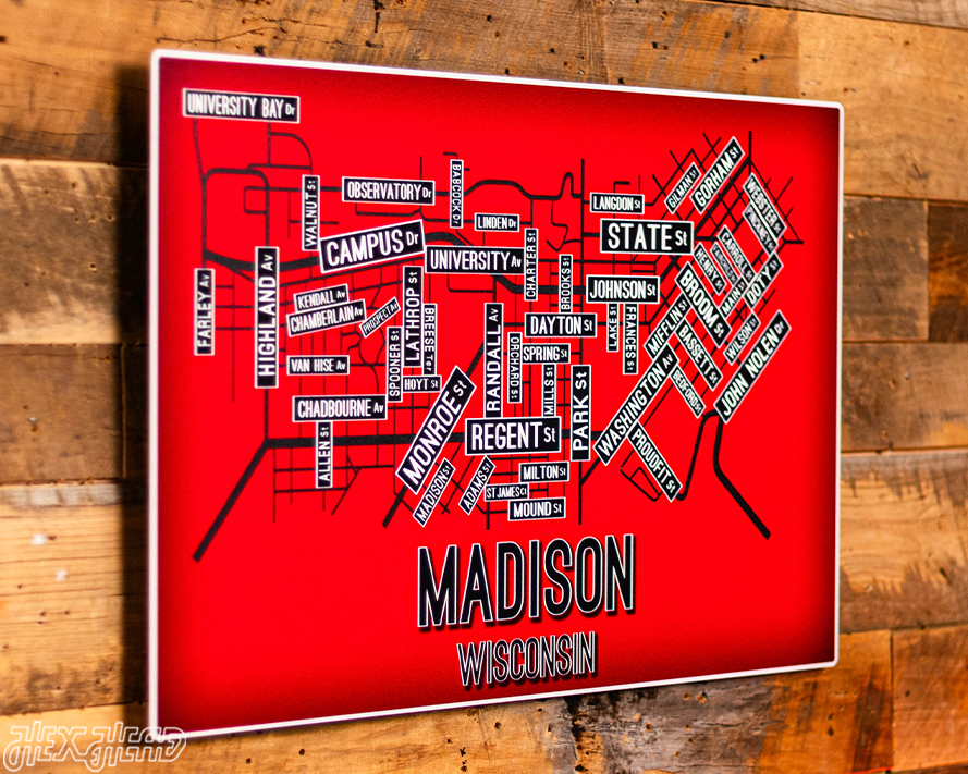 Madison, Wisconsin School Street Poster Single Layer Metal Wall Art