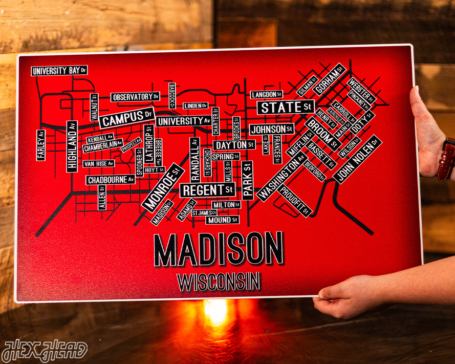 Madison, Wisconsin School Street Poster Single Layer Metal Wall Art