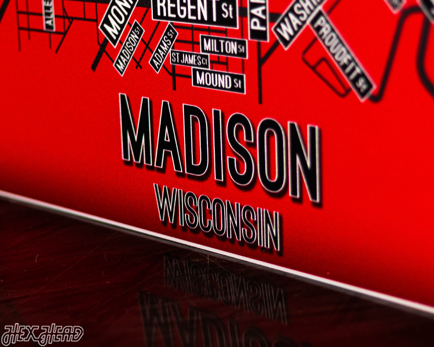 Madison, Wisconsin School Street Poster Single Layer Metal Wall Art