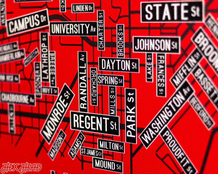 Madison, Wisconsin School Street Poster Single Layer Metal Wall Art
