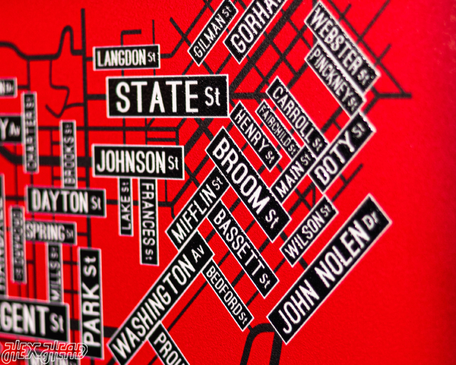 Madison, Wisconsin School Street Poster Single Layer Metal Wall Art