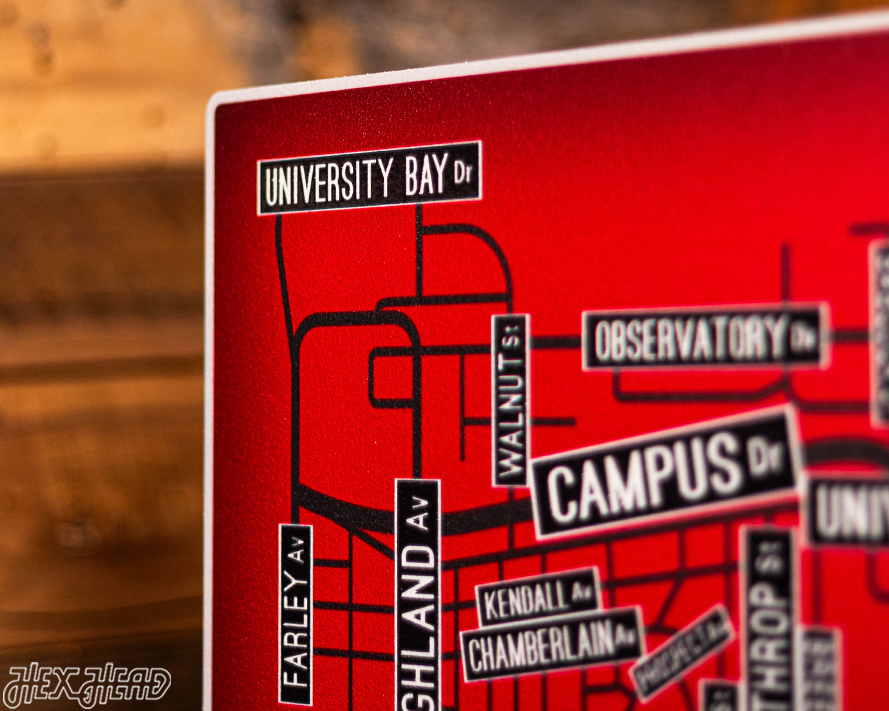 Madison, Wisconsin School Street Poster Single Layer Metal Wall Art