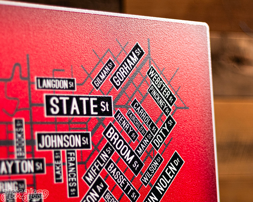 Madison, Wisconsin School Street Poster Single Layer Metal Wall Art