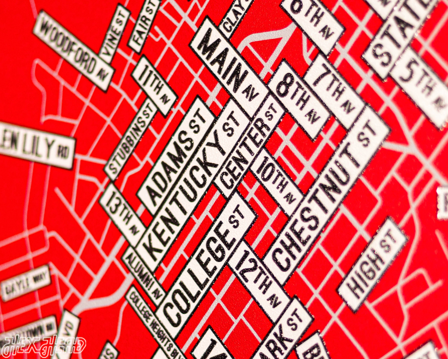 Bowling Green, Kentucky School Street Poster Single Layer Metal Wall Art