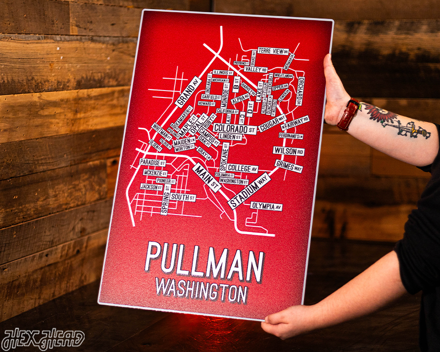 Pullman, Washington School Street Poster Single Layer Metal Wall Art