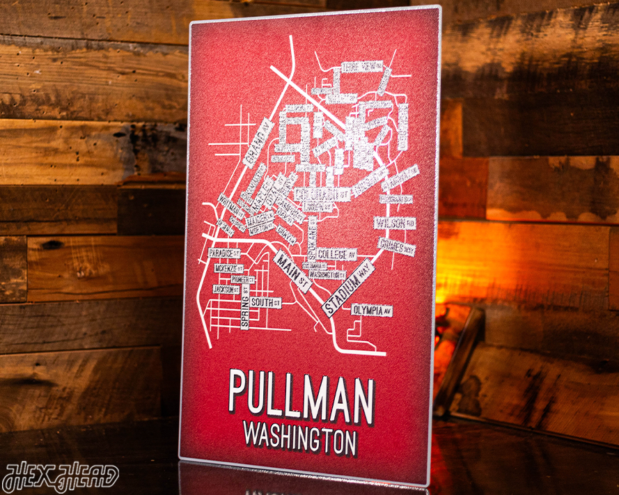 Pullman, Washington School Street Poster Single Layer Metal Wall Art