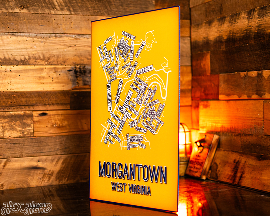 Morgantown, West Virginia School Street Poster Single Layer Metal Wall Art