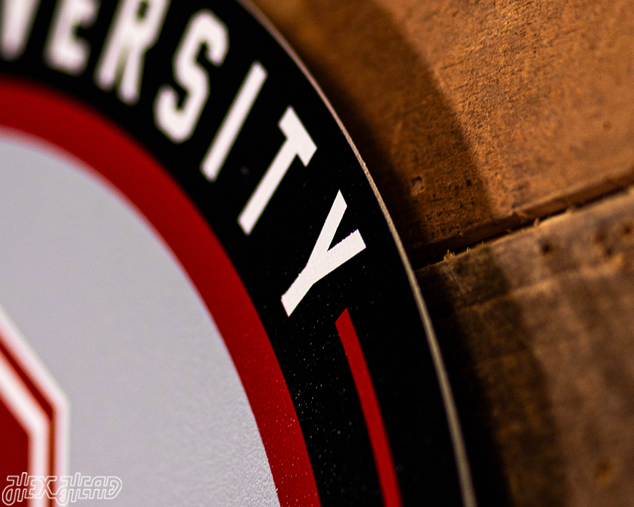 VARSITY Collection- SINGLE Layer Stanford Cardinal Metal Wall Art