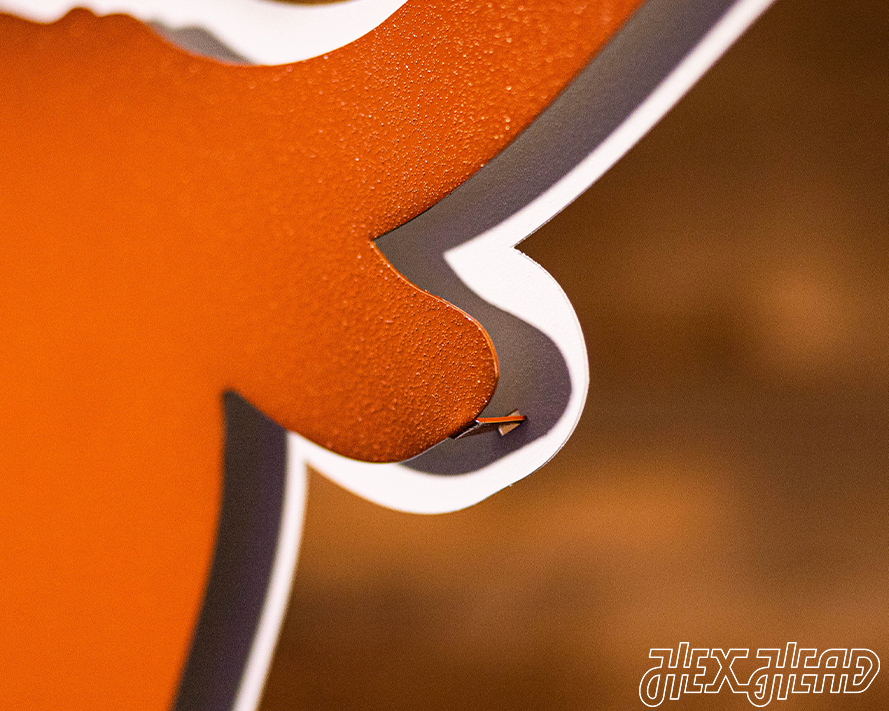 Texas Longhorns "LONGHORN" 3D Vintage Metal Wall Art