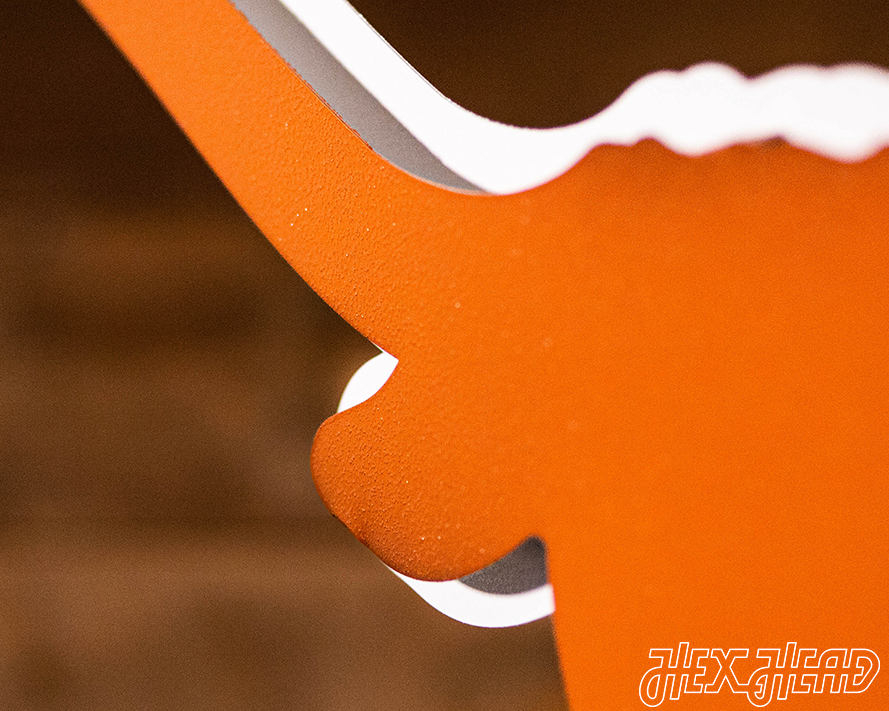 Texas Longhorns "LONGHORN" 3D Vintage Metal Wall Art