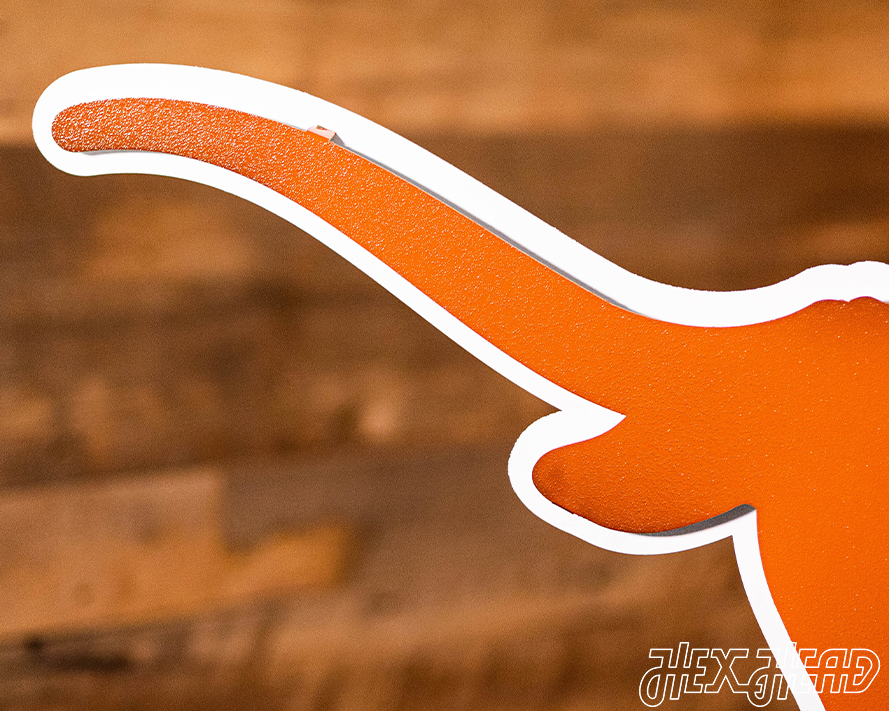 Texas Longhorns "LONGHORN" 3D Vintage Metal Wall Art