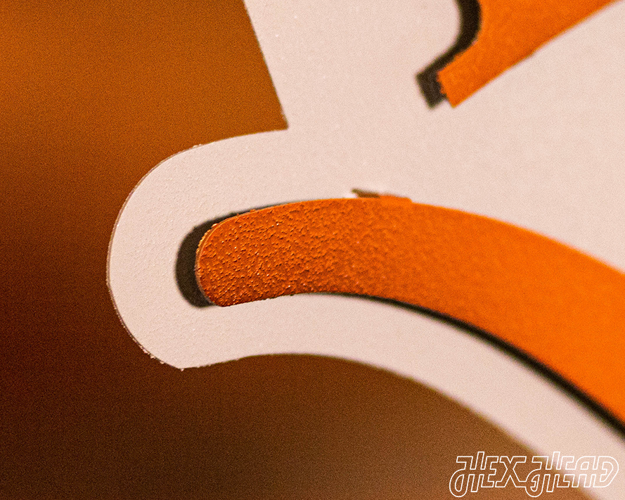 Texas Longhorns HEX HEAD EXCLUSIVE Design 3D Metal Art