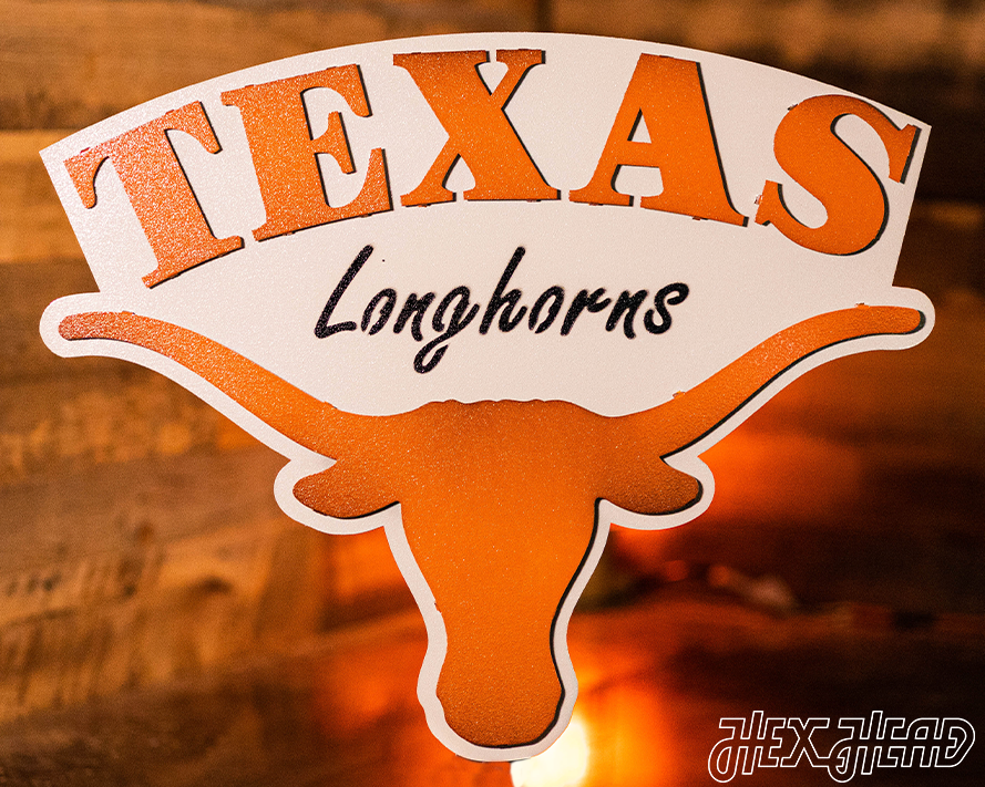 Texas Longhorns HEX HEAD EXCLUSIVE Design 3D Metal Art