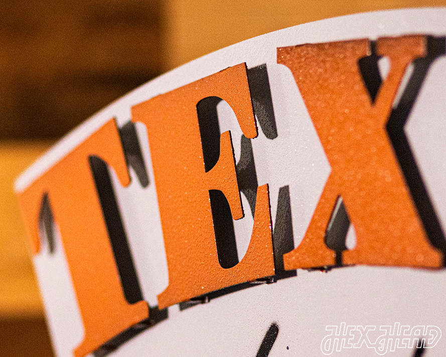 Texas Longhorns HEX HEAD EXCLUSIVE Design 3D Metal Art