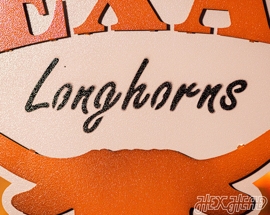 Texas Longhorns HEX HEAD EXCLUSIVE Design 3D Metal Art