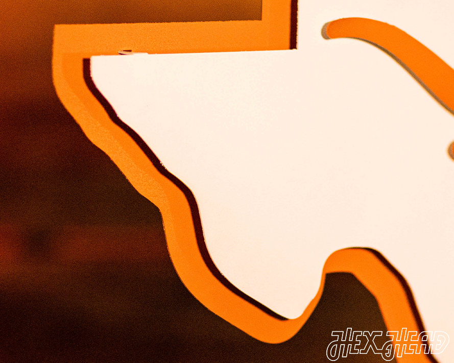 Texas Longhorns "Longhorn on State" 3D Vintage Metal Wall Art