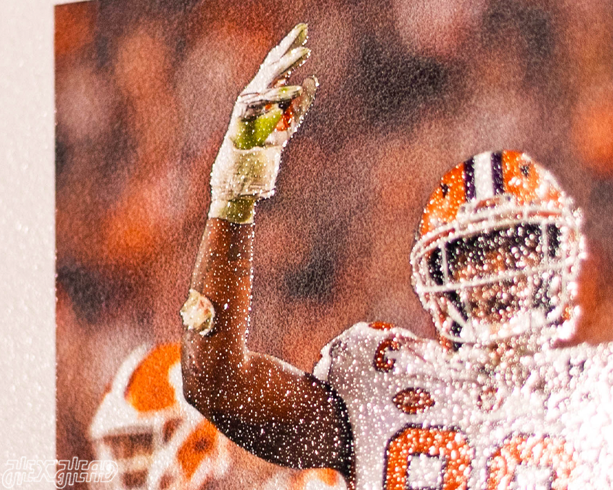 Greenville News Clemson Tigers 2018 Football National Champions Front Page - JAN 9, 2019