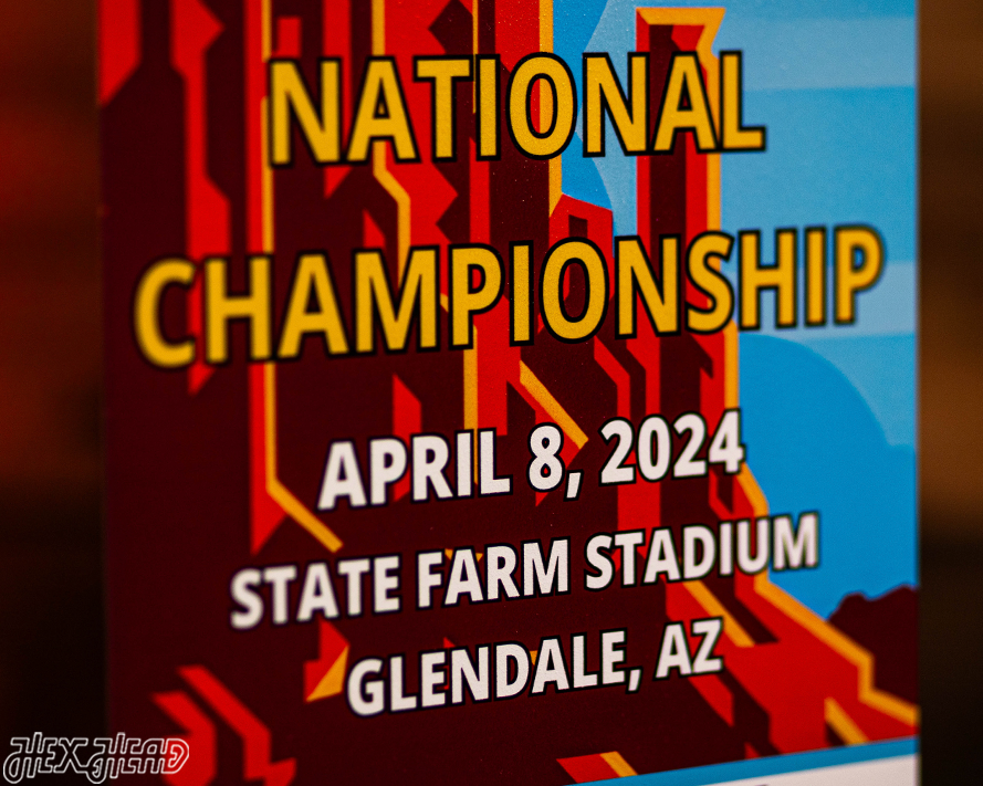 UCONN Huskies 2024 National Basketball Championship Ticket Stub Single Layer Metal Wall Art