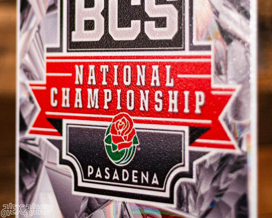 Florida State Seminole 2014 National Championship Ticket Stub Single Layer Metal Wall Art