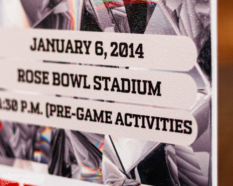 Florida State Seminole 2014 National Championship Ticket Stub Single Layer Metal Wall Art