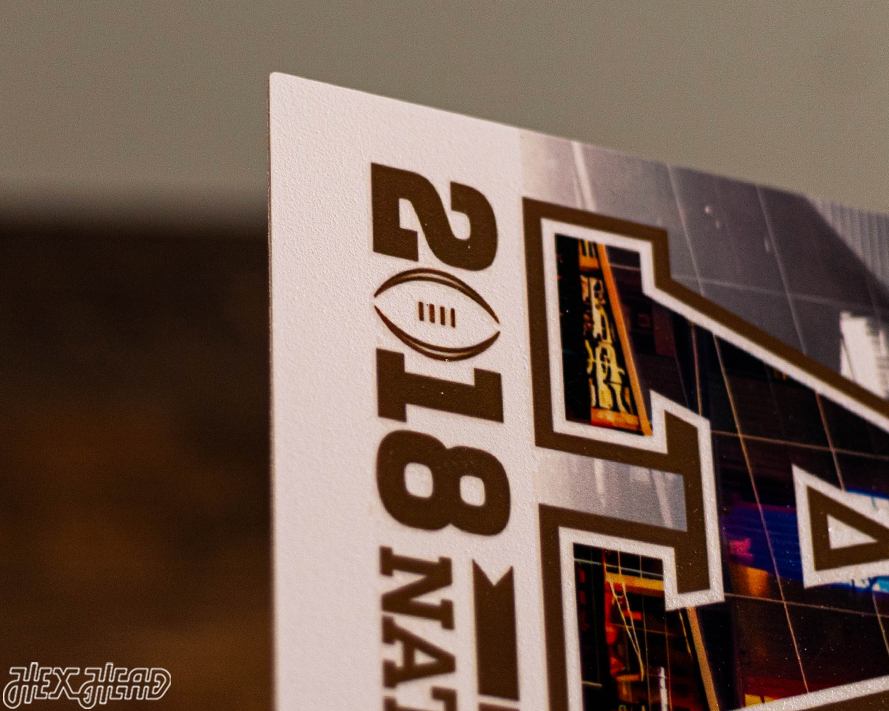 Alabama Crimson Tide 2018 National Championship Ticket Stub Single Layer Metal Wall Art