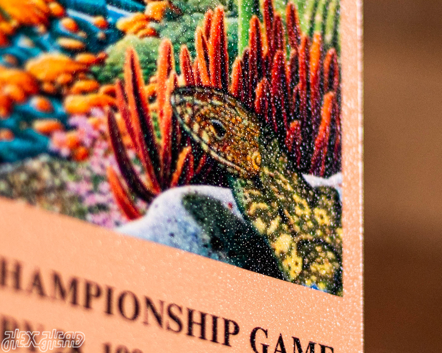 Dallas Cowboys Super Bowl XXX Ticket Stub Single Layer Metal Wall Art